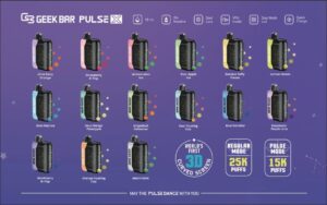 GeekBar Pulse X